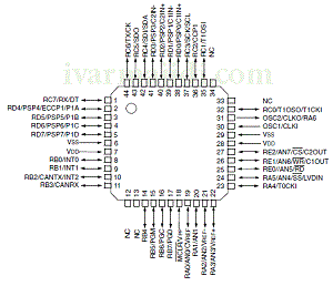 integrated circuits and logic gates-شماتیک یک آی سی خرچنگی روی نقشه